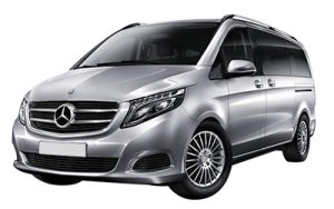 MERCEDES VIANO