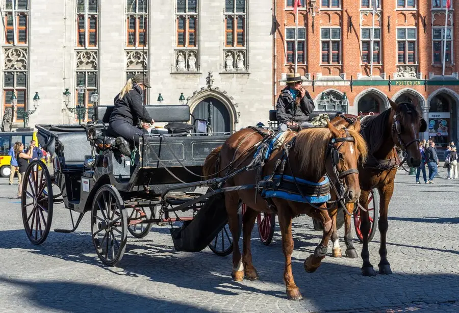 chauffeur transfers melbourne