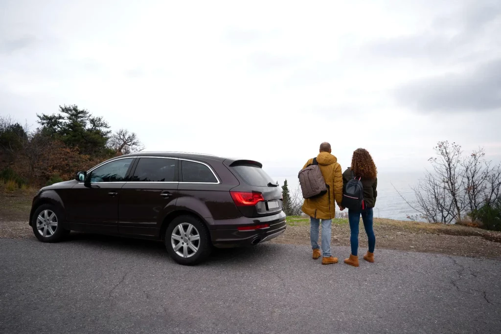 chauffeurs